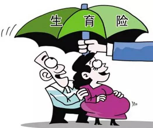 新疆生育保险缴费的标准及制度