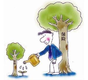 社保各项扣款险种介绍