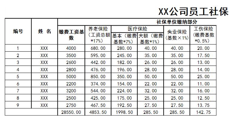 简单讲解职工社保明细表的说明