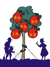未成年人办理社保卡