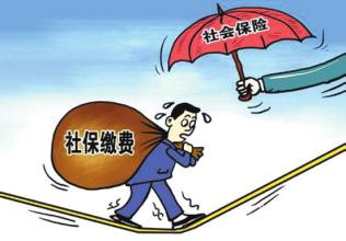 社保最高交多少年