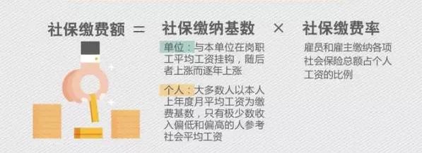 社会保险缴费率构成