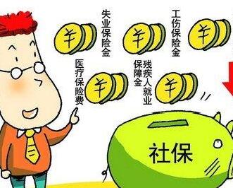 社保卡号是多少如何查询