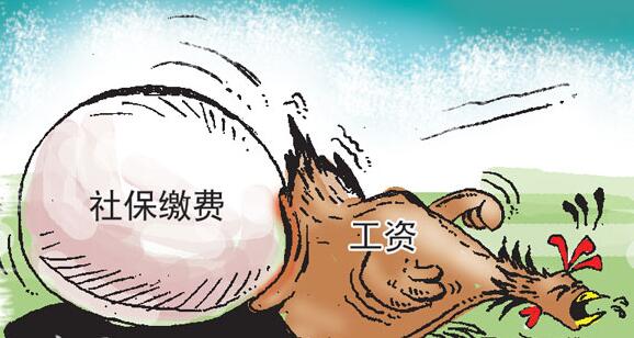 社会保险费征缴业务流程介绍