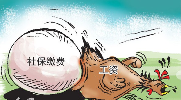 社保缴费比例下调