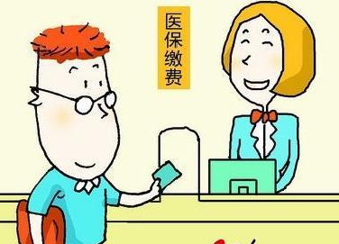 医保个人缴费工资表格式介绍