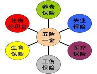 社保五金是什么 小编为您解疑惑