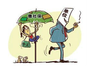 社会保险费缴费汇总表介绍
