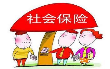 社保明细查询方式