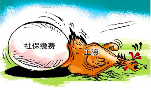 社保缴费类型有哪些