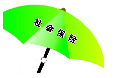 社保年审需要哪些资料 小编告诉你