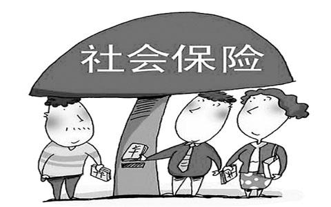 社会保险登记证表格介绍