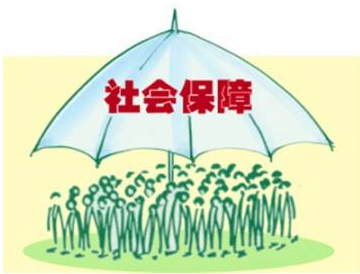社保怎么入账详细资料